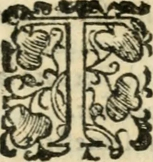 An illustration from Tou Hagiou Patros hemon Epiphaniou, episkopou Konstanteias Kyprou, Peri ton physiologon; tou autou Eis ta baia logos. Sancti patris nostri Epiphanii, Episcopi Constantiae Cypri, Ad physiologum; Eiusdem In die festo palmarum sermo, 1587, leaf 108