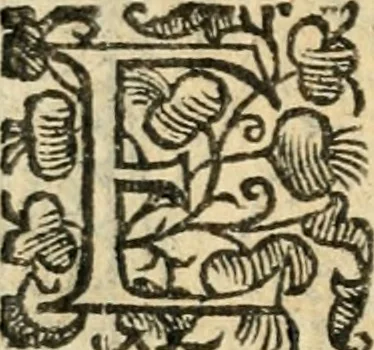 An illustration from Tou Hagiou Patros hemon Epiphaniou, episkopou Konstanteias Kyprou, Peri ton physiologon; tou autou Eis ta baia logos. Sancti patris nostri Epiphanii, Episcopi Constantiae Cypri, Ad physiologum; Eiusdem In die festo palmarum sermo, 1587, leaf 113