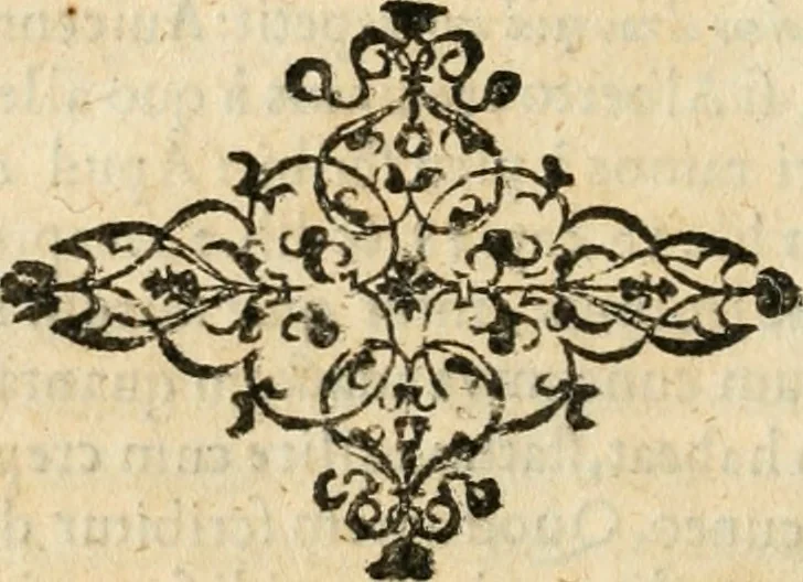 An illustration from Tou Hagiou Patros hemon Epiphaniou, episkopou Konstanteias Kyprou, Peri ton physiologon; tou autou Eis ta baia logos. Sancti patris nostri Epiphanii, Episcopi Constantiae Cypri, Ad physiologum; Eiusdem In die festo palmarum sermo, 1587, leaf 127