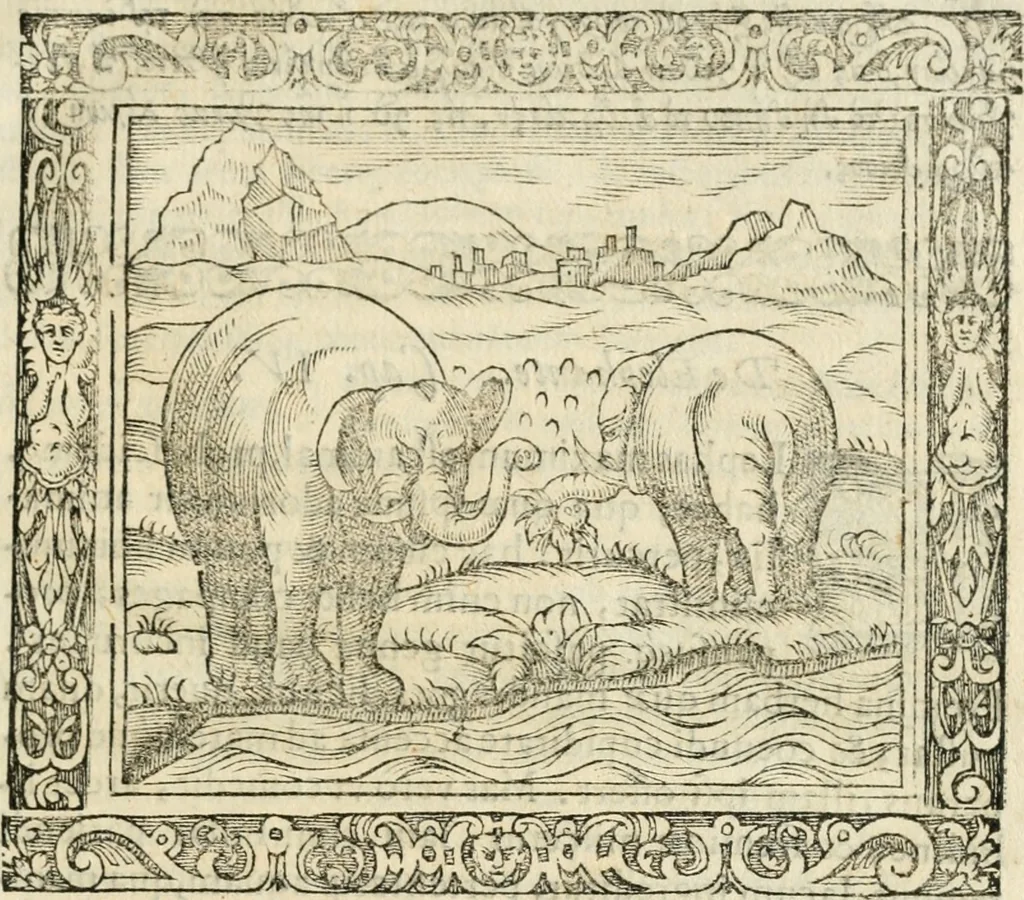 An illustration from Tou Hagiou Patros hemon Epiphaniou, episkopou Konstanteias Kyprou, Peri ton physiologon; tou autou Eis ta baia logos. Sancti patris nostri Epiphanii, Episcopi Constantiae Cypri, Ad physiologum; Eiusdem In die festo palmarum sermo, 1587, leaf 32