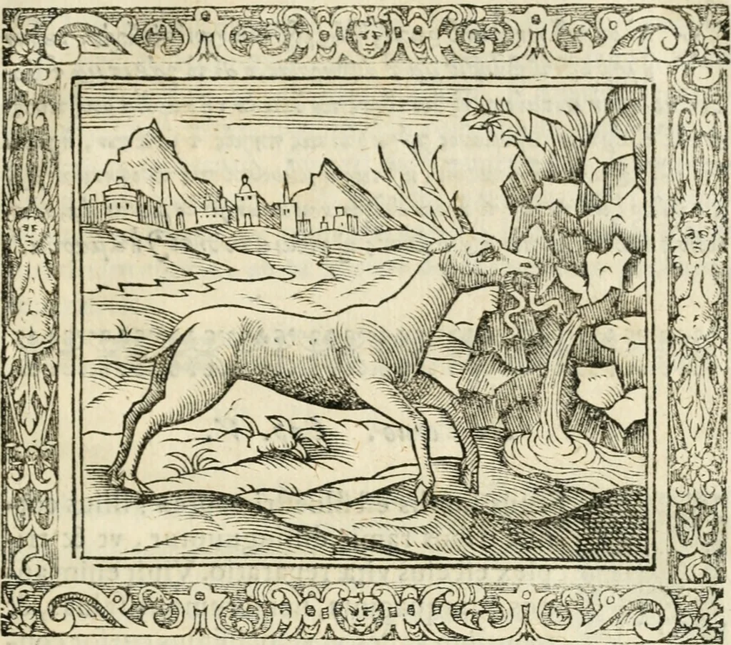 An illustration from Tou Hagiou Patros hemon Epiphaniou, episkopou Konstanteias Kyprou, Peri ton physiologon; tou autou Eis ta baia logos. Sancti patris nostri Epiphanii, Episcopi Constantiae Cypri, Ad physiologum; Eiusdem In die festo palmarum sermo, 1587, leaf 36