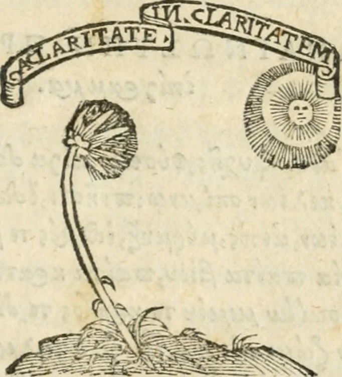 An illustration from Tou Hagiou Patros hemon Epiphaniou, episkopou Konstanteias Kyprou, Peri ton physiologon; tou autou Eis ta baia logos. Sancti patris nostri Epiphanii, Episcopi Constantiae Cypri, Ad physiologum; Eiusdem In die festo palmarum sermo, 1587, leaf 4