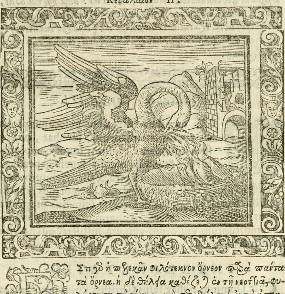 An illustration from Tou Hagiou Patros hemon Epiphaniou, episkopou Konstanteias Kyprou, Peri ton physiologon; tou autou Eis ta baia logos. Sancti patris nostri Epiphanii, Episcopi Constantiae Cypri, Ad physiologum; Eiusdem In die festo palmarum sermo, 1587, leaf 48