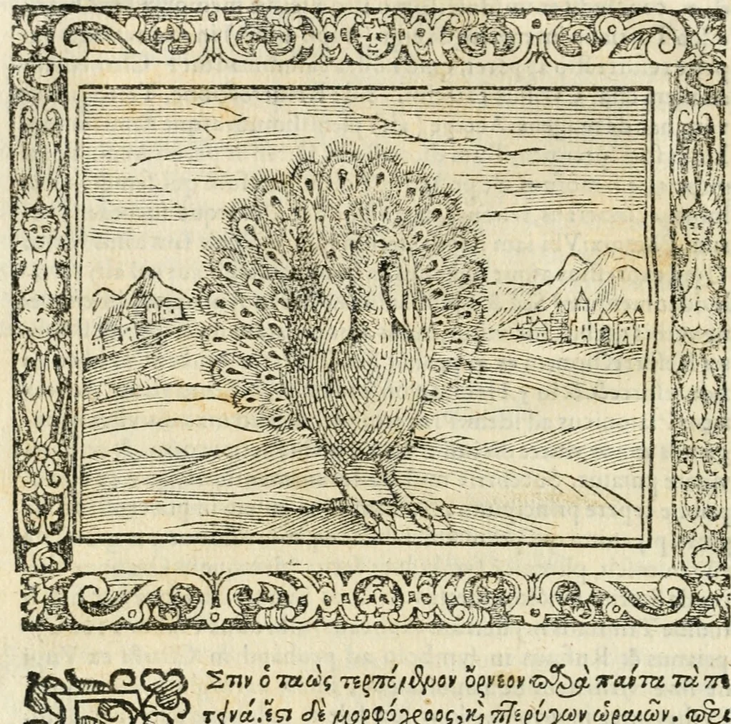 An illustration from Tou Hagiou Patros hemon Epiphaniou, episkopou Konstanteias Kyprou, Peri ton physiologon; tou autou Eis ta baia logos. Sancti patris nostri Epiphanii, Episcopi Constantiae Cypri, Ad physiologum; Eiusdem In die festo palmarum sermo, 1587, leaf 65