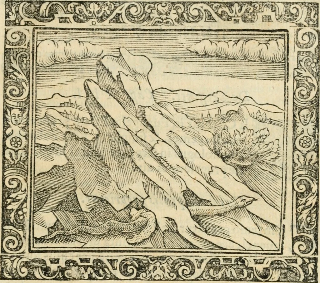 An illustration from Tou Hagiou Patros hemon Epiphaniou, episkopou Konstanteias Kyprou, Peri ton physiologon; tou autou Eis ta baia logos. Sancti patris nostri Epiphanii, Episcopi Constantiae Cypri, Ad physiologum; Eiusdem In die festo palmarum sermo, 1587, leaf 68