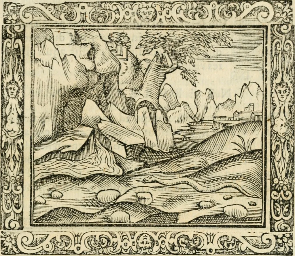 An illustration from Tou Hagiou Patros hemon Epiphaniou, episkopou Konstanteias Kyprou, Peri ton physiologon; tou autou Eis ta baia logos. Sancti patris nostri Epiphanii, Episcopi Constantiae Cypri, Ad physiologum; Eiusdem In die festo palmarum sermo, 1587, leaf 84