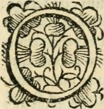 An illustration from Tou Hagiou Patros hemon Epiphaniou, episkopou Konstanteias Kyprou, Peri ton physiologon; tou autou Eis ta baia logos. Sancti patris nostri Epiphanii, Episcopi Constantiae Cypri, Ad physiologum; Eiusdem In die festo palmarum sermo, 1587, leaf 84