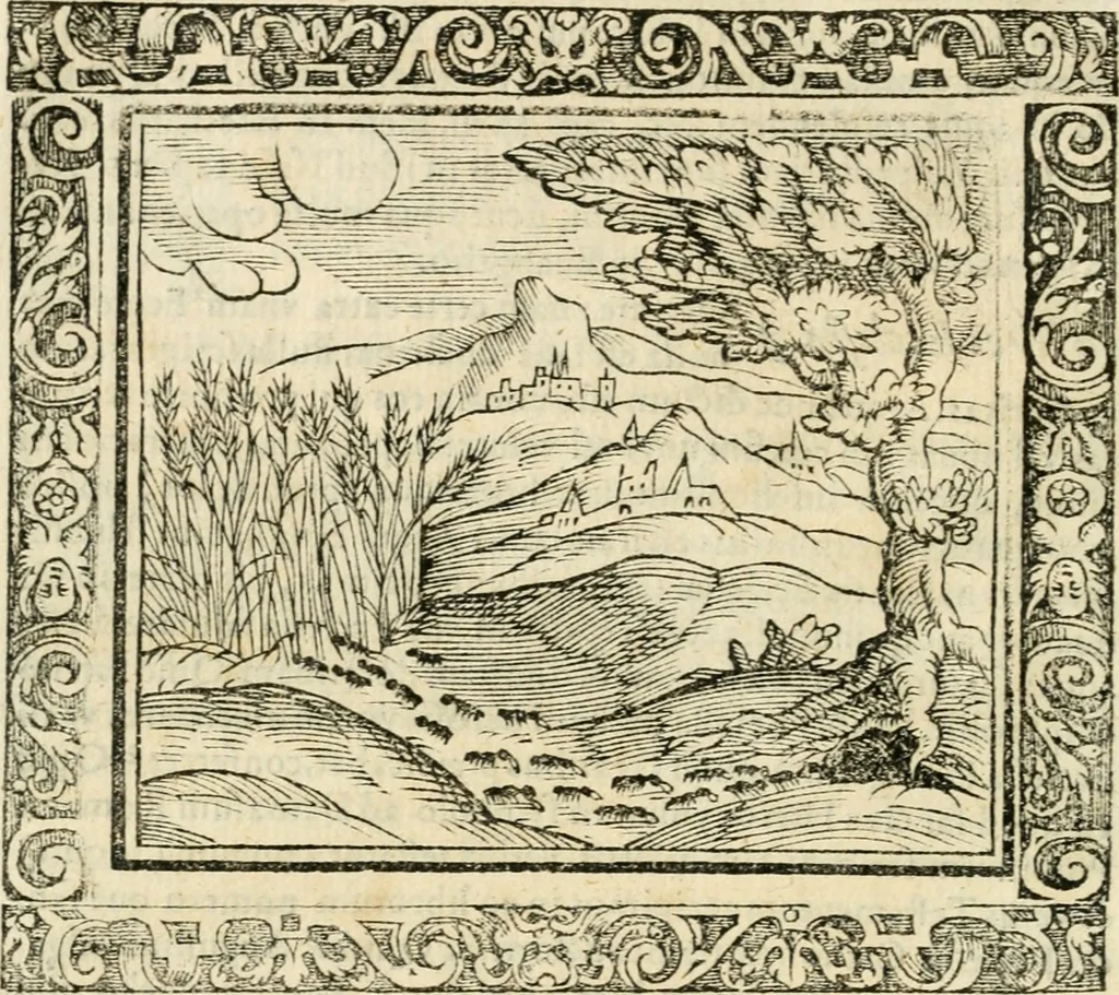 An illustration from Tou Hagiou Patros hemon Epiphaniou, episkopou Konstanteias Kyprou, Peri ton physiologon; tou autou Eis ta baia logos. Sancti patris nostri Epiphanii, Episcopi Constantiae Cypri, Ad physiologum; Eiusdem In die festo palmarum sermo, 1587, leaf 87