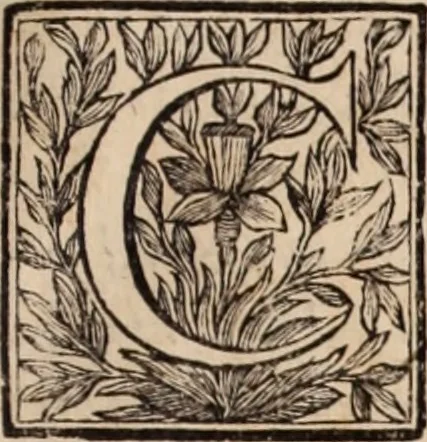 An illustration from [Tou megalou Hippocratous pantōn tōn iatrōn koryphaiou ta euriskomena (romanized form)] Magni Hippocratis, medicorum omnium facile principis, opera omnia quae extant: in VIII. sectiones ex Erotiani mente distributa. Nunc denuo latina interpretatione & annotationibus illustrata, Anutio Foesio, 1657, leaf 14