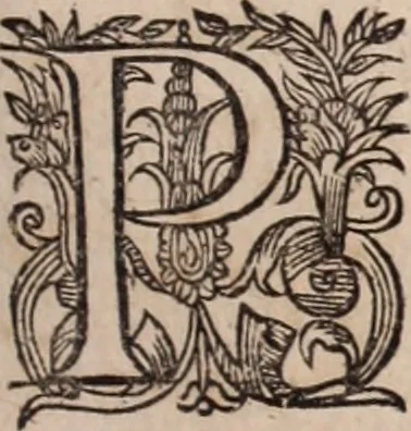 An illustration from [Tou megalou Hippocratous pantōn tōn iatrōn koryphaiou ta euriskomena (romanized form)] Magni Hippocratis, medicorum omnium facile principis, opera omnia quae extant: in VIII. sectiones ex Erotiani mente distributa. Nunc denuo latina interpretatione & annotationibus illustrata, Anutio Foesio, 1657, leaf 166