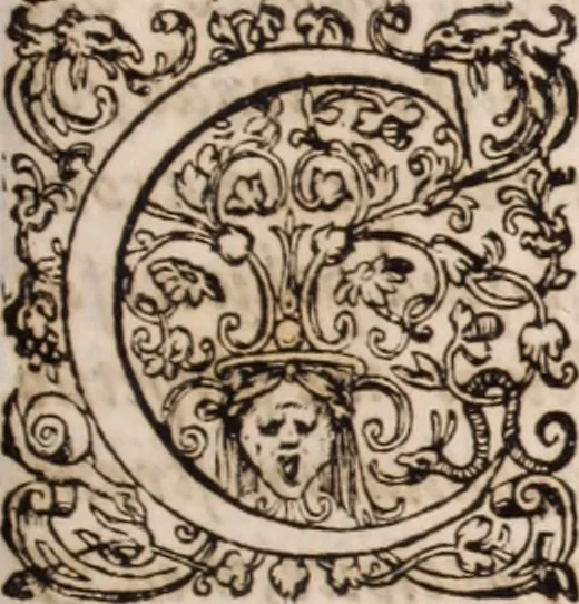 An illustration from [Tou megalou Hippocratous pantōn tōn iatrōn koryphaiou ta euriskomena (romanized form)] Magni Hippocratis, medicorum omnium facile principis, opera omnia quae extant: in VIII. sectiones ex Erotiani mente distributa. Nunc denuo latina interpretatione & annotationibus illustrata, Anutio Foesio, 1657, leaf 472