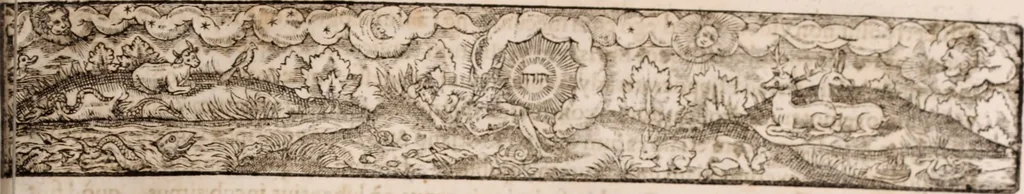 An illustration from [Tou megalou Hippocratous pantōn tōn iatrōn koryphaiou ta euriskomena (romanized form)] Magni Hippocratis, medicorum omnium facile principis, opera omnia quae extant: in VIII. sectiones ex Erotiani mente distributa. Nunc denuo latina interpretatione & annotationibus illustrata, Anutio Foesio, 1657, leaf 474