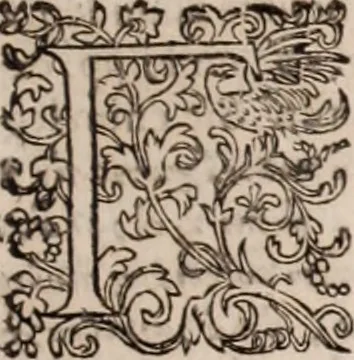 An illustration from [Tou megalou Hippocratous pantōn tōn iatrōn koryphaiou ta euriskomena (romanized form)] Magni Hippocratis, medicorum omnium facile principis, opera omnia quae extant: in VIII. sectiones ex Erotiani mente distributa. Nunc denuo latina interpretatione & annotationibus illustrata, Anutio Foesio, 1657, leaf 558
