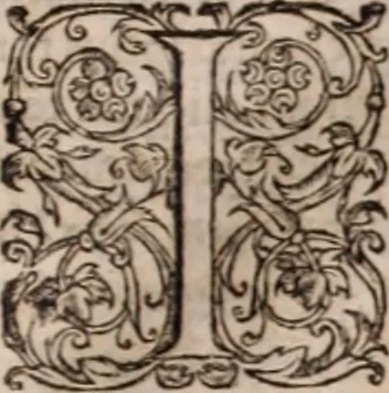 An illustration from [Tou megalou Hippocratous pantōn tōn iatrōn koryphaiou ta euriskomena (romanized form)] Magni Hippocratis, medicorum omnium facile principis, opera omnia quae extant: in VIII. sectiones ex Erotiani mente distributa. Nunc denuo latina interpretatione & annotationibus illustrata, Anutio Foesio, 1657, leaf 646