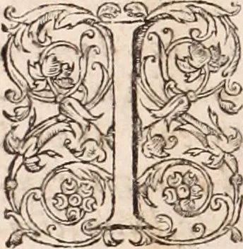 An illustration from [Tou megalou Hippocratous pantōn tōn iatrōn koryphaiou ta euriskomena (romanized form)] Magni Hippocratis, medicorum omnium facile principis, opera omnia quae extant: in VIII. sectiones ex Erotiani mente distributa. Nunc denuo latina interpretatione & annotationibus illustrata, Anutio Foesio, 1657, leaf 7