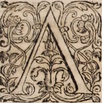 An illustration from [Tou megalou Hippocratous pantōn tōn iatrōn koryphaiou ta euriskomena (romanized form)] Magni Hippocratis, medicorum omnium facile principis, opera omnia quae extant: in VIII. sectiones ex Erotiani mente distributa. Nunc denuo latina interpretatione & annotationibus illustrata, Anutio Foesio, 1657, leaf 702