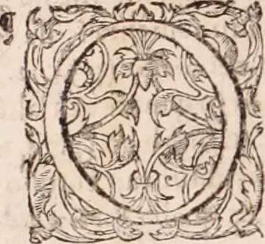 An illustration from [Tou megalou Hippocratous pantōn tōn iatrōn koryphaiou ta euriskomena (romanized form)] Magni Hippocratis, medicorum omnium facile principis, opera omnia quae extant: in VIII. sectiones ex Erotiani mente distributa. Nunc denuo latina interpretatione & annotationibus illustrata, Anutio Foesio, 1657, leaf 745