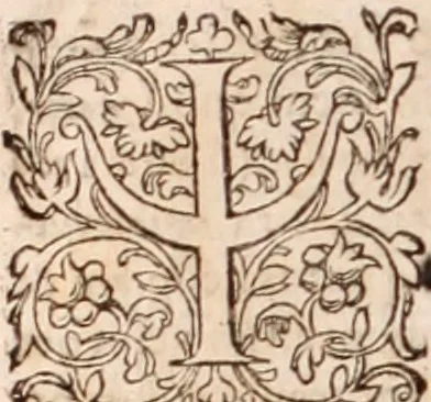 An illustration from [Tou megalou Hippocratous pantōn tōn iatrōn koryphaiou ta euriskomena (romanized form)] Magni Hippocratis, medicorum omnium facile principis, opera omnia quae extant: in VIII. sectiones ex Erotiani mente distributa. Nunc denuo latina interpretatione & annotationibus illustrata, Anutio Foesio, 1657, leaf 891