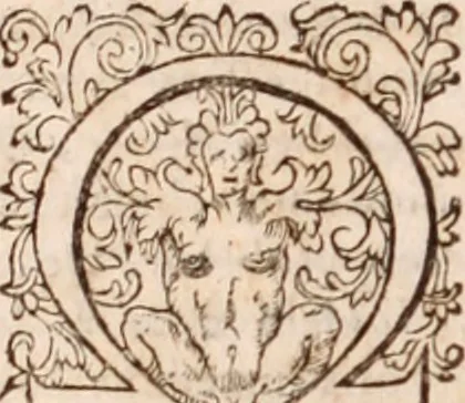 An illustration from [Tou megalou Hippocratous pantōn tōn iatrōn koryphaiou ta euriskomena (romanized form)] Magni Hippocratis, medicorum omnium facile principis, opera omnia quae extant: in VIII. sectiones ex Erotiani mente distributa. Nunc denuo latina interpretatione & annotationibus illustrata, Anutio Foesio, 1657, leaf 893