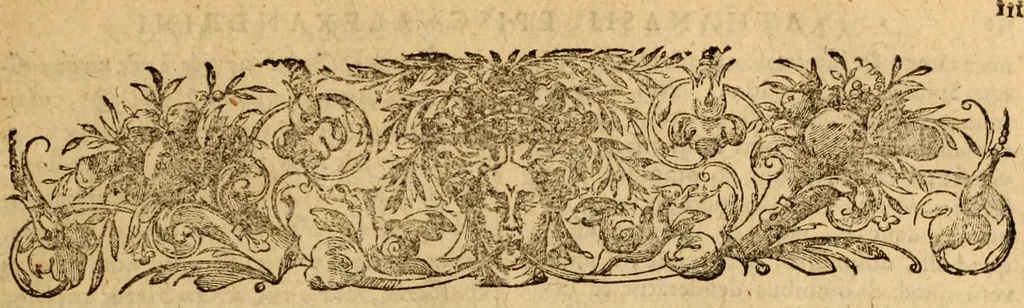 An illustration from Tou en agiois patros emon Athanasiou Archiepiskopou Alexandreias Ta euriskomena apanta. = B. Athanasii archiepiscopi Alexandrini Opera qvæ reperivntvr omnia, : in dvos tomos tribvta. Græce nunc primùm (ex Mss. Codd. Basil. Cantabrig. Palatm. & aliis) in lucem data, cum interpretatione Latine Petri Nannii ... Accesserunt fragmenta varia: notæ variarum lectionum: index triplex, 1601, leaf 132
