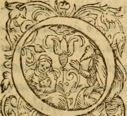 An illustration from Tou en agiois patros emon Athanasiou Archiepiskopou Alexandreias Ta euriskomena apanta. = B. Athanasii archiepiscopi Alexandrini Opera qvæ reperivntvr omnia, : in dvos tomos tribvta. Græce nunc primùm (ex Mss. Codd. Basil. Cantabrig. Palatm. & aliis) in lucem data, cum interpretatione Latine Petri Nannii ... Accesserunt fragmenta varia: notæ variarum lectionum: index triplex, 1601, leaf 788