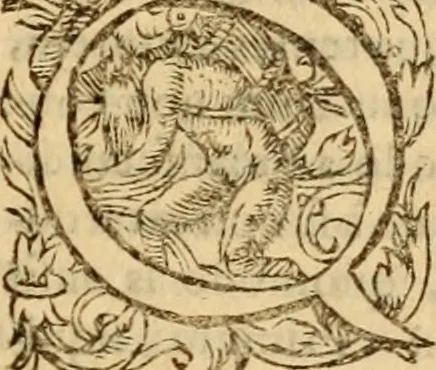 An illustration from Tou en agiois patros emon Athanasiou Archiepiskopou Alexandreias Ta euriskomena apanta. = B. Athanasii archiepiscopi Alexandrini Opera qvæ reperivntvr omnia, : in dvos tomos tribvta. Græce nunc primùm (ex Mss. Codd. Basil. Cantabrig. Palatm. & aliis) in lucem data, cum interpretatione Latine Petri Nannii ... Accesserunt fragmenta varia: notæ variarum lectionum: index triplex, 1601, leaf 788