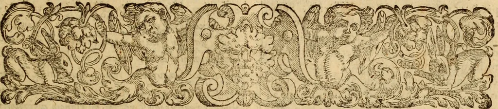 An illustration from Tou en agiois patros emon Athanasiou Archiepiskopou Alexandreias Ta euriskomena apanta. = B. Athanasii archiepiscopi Alexandrini Opera qvæ reperivntvr omnia, : in dvos tomos tribvta. Græce nunc primùm (ex Mss. Codd. Basil. Cantabrig. Palatm. & aliis) in lucem data, cum interpretatione Latine Petri Nannii ... Accesserunt fragmenta varia: notæ variarum lectionum: index triplex, 1601, leaf 846