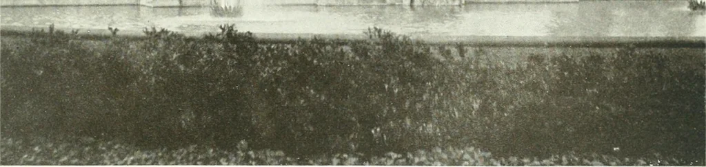 An illustration from Town planning, past, present and possible, 1911, leaf 352