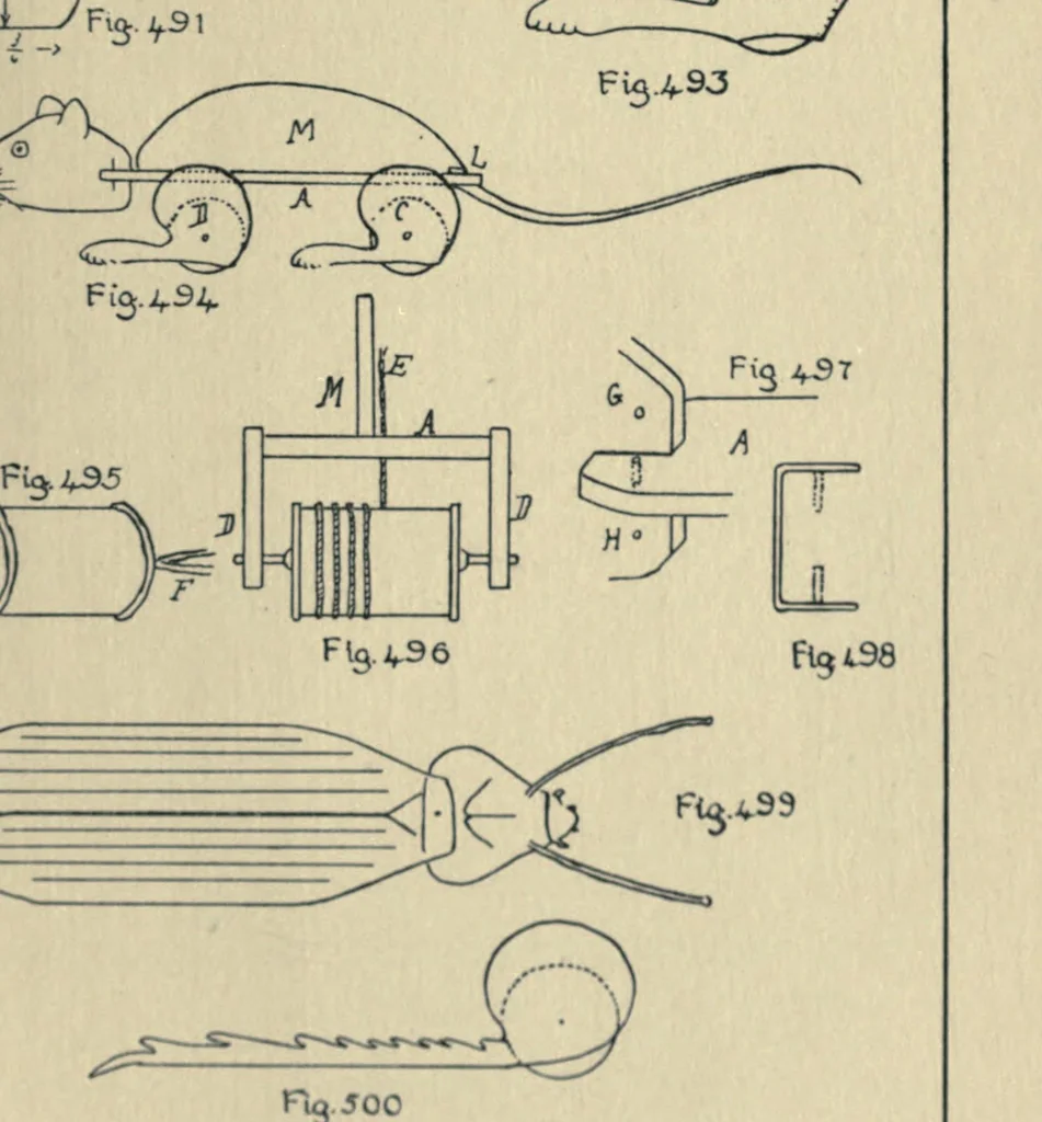 An illustration from Toy-making in school and home, 1916, leaf 299