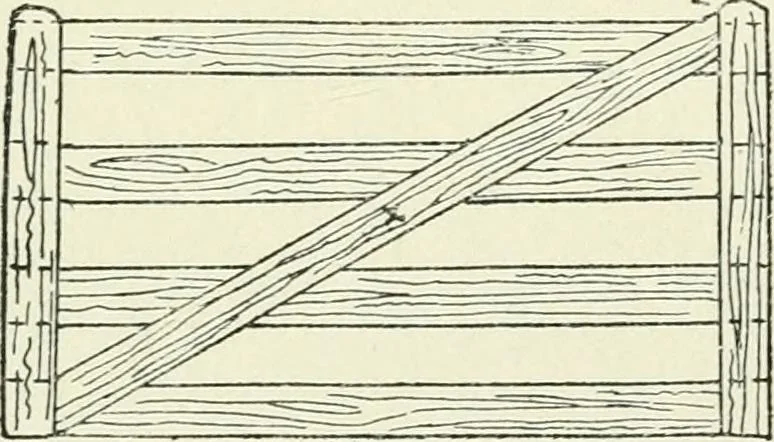 An illustration from Toy-making in school and home, 1916, leaf 144