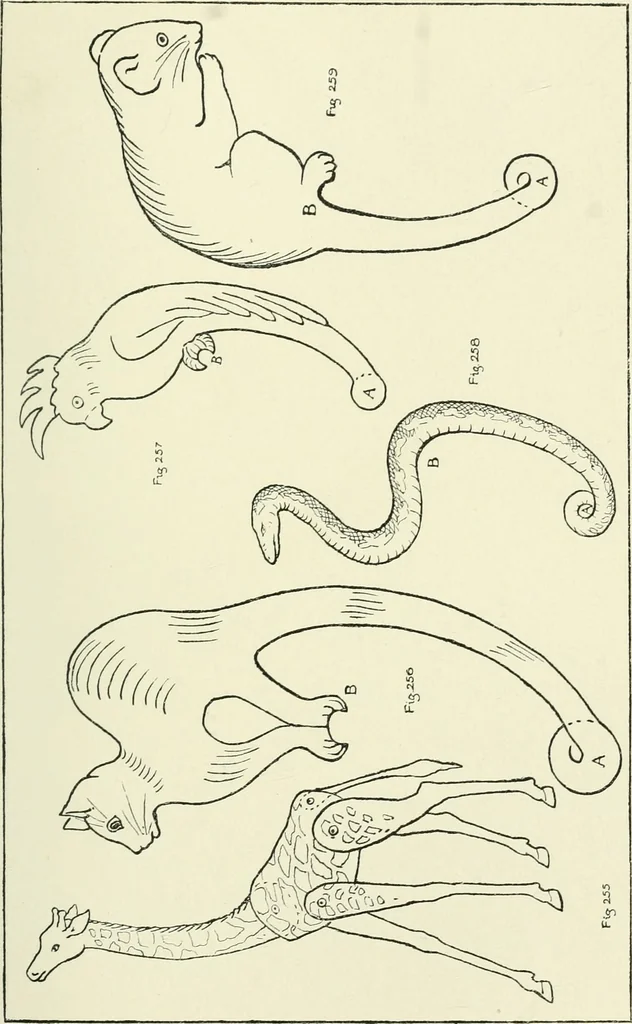 An illustration from Toy-making in school and home, 1916, leaf 156