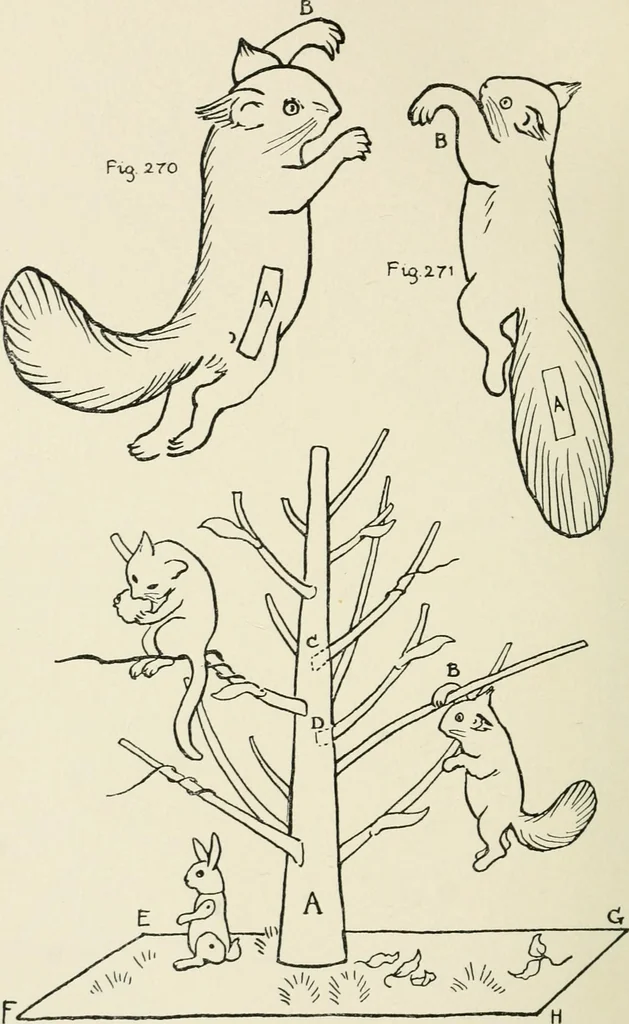An illustration from Toy-making in school and home, 1916, leaf 161