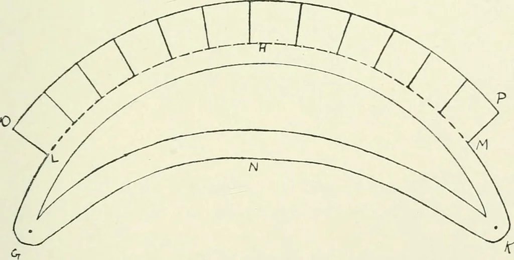 An illustration from Toy-making in school and home, 1916, leaf 224