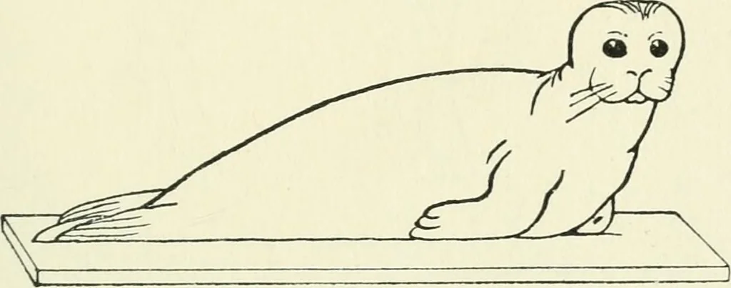 An illustration from Toy-making in school and home, 1916, leaf 264