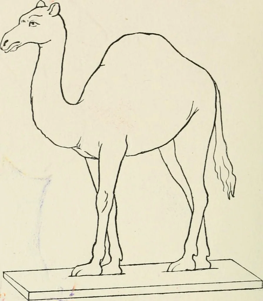An illustration from Toy-making in school and home, 1916, leaf 265
