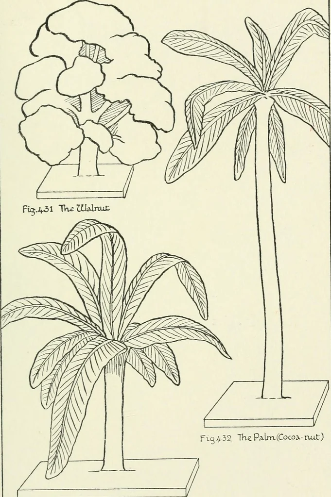 An illustration from Toy-making in school and home, 1916, leaf 266