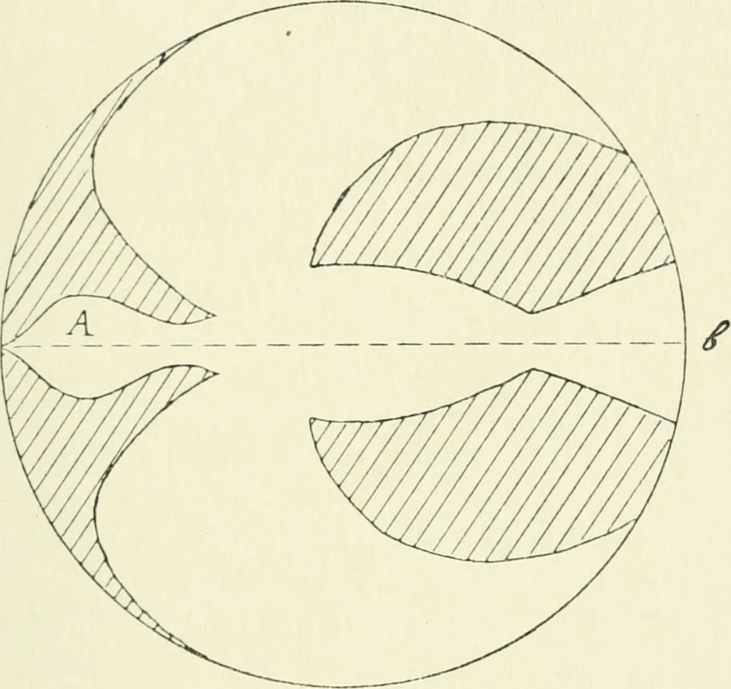 An illustration from Toy-making in school and home, 1916, leaf 288