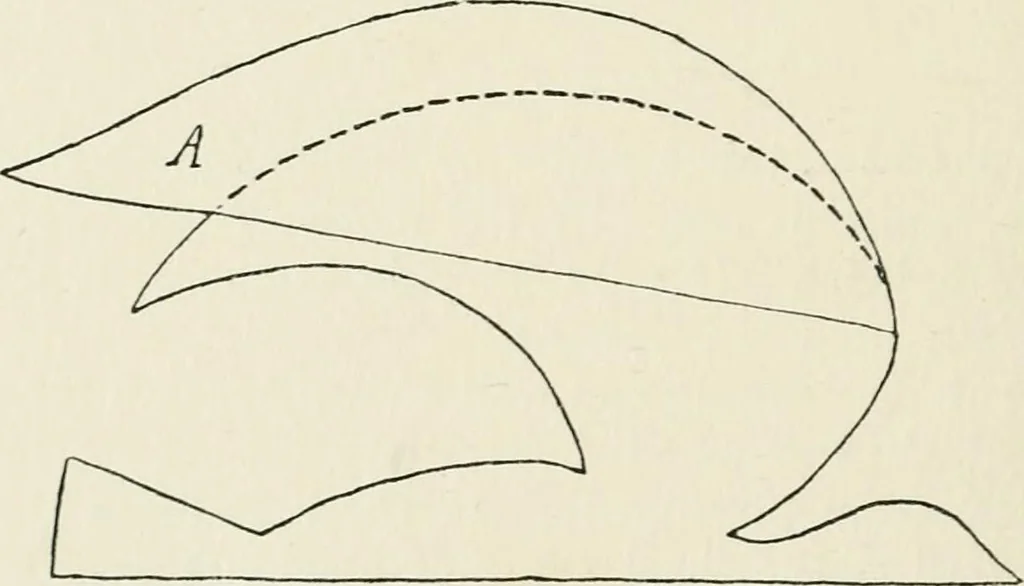 An illustration from Toy-making in school and home, 1916, leaf 289