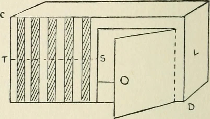 An illustration from Toy-making in school and home, 1916, leaf 39