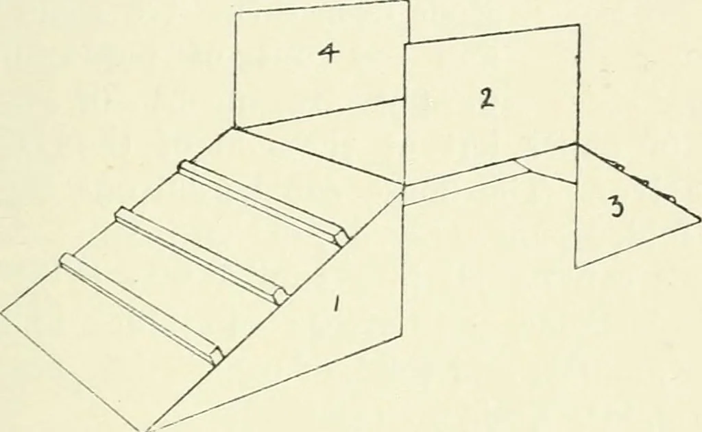 An illustration from Toy-making in school and home, 1916, leaf 50