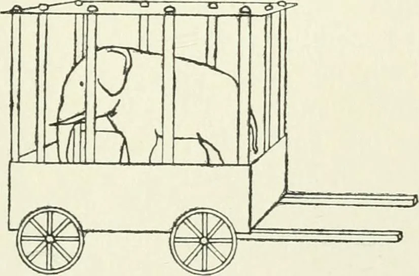 An illustration from Toy-making in school and home, 1916, leaf 74