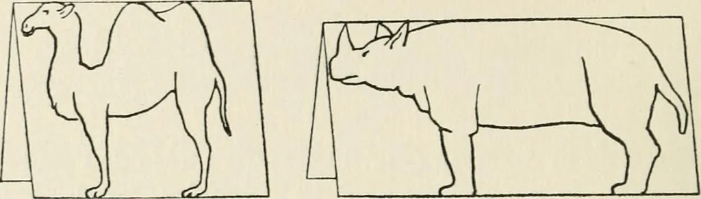 An illustration from Toy-making in school and home, 1916, leaf 75