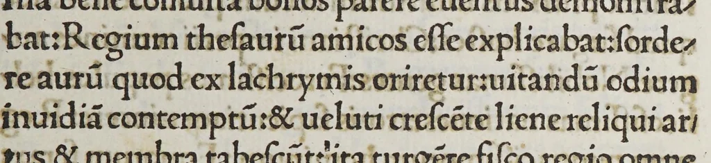 An illustration from T. Phaedri Ingheramii Volterani De obitu illustrissimi Ioannis Hispani[a]e principis ad Senatum Apostolicum, oratio., leaf 23