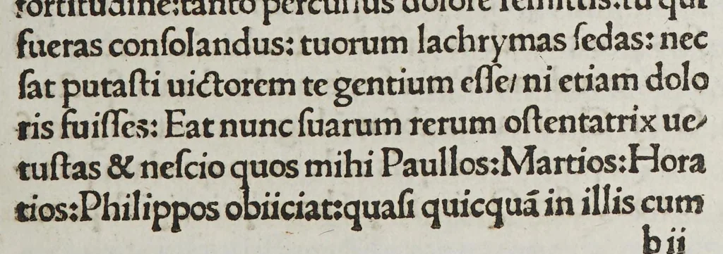 An illustration from T. Phaedri Ingheramii Volterani De obitu illustrissimi Ioannis Hispani[a]e principis ad Senatum Apostolicum, oratio., leaf 25