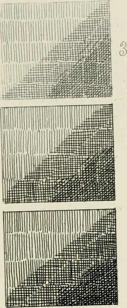 An illustration from A treatise on etching, 1880, leaf 22