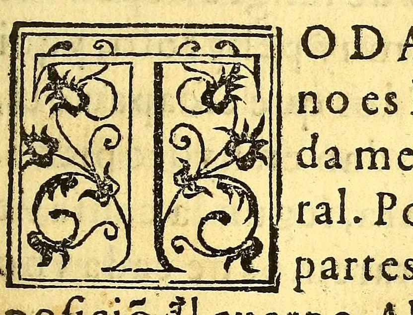 An illustration from Tractado brebe de medicina, : y de todas las enfermedades,, 1592, leaf 113