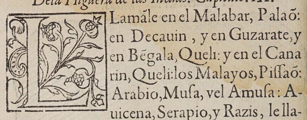 An illustration from Tractado delas drogas, y medicinas de las Indias Orientales, 1578, leaf 104