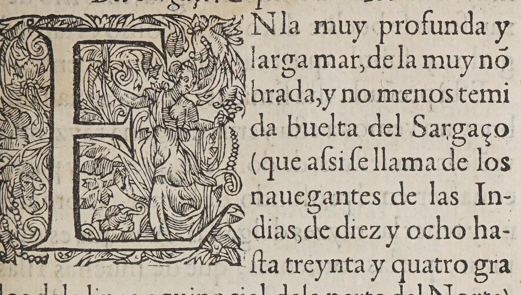 An illustration from Tractado delas drogas, y medicinas de las Indias Orientales, 1578, leaf 383