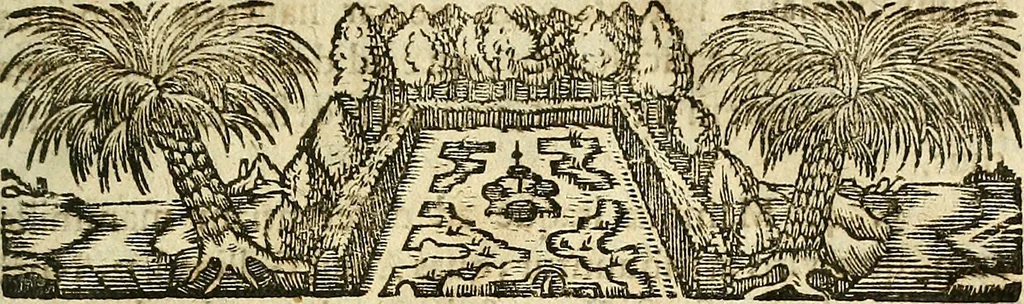 An illustration from Tractatio de mirandis naturae fontibus ex quibus ambrosinum humanae sustentationis nectar hauritur : illorum origine ductibus & reliquis, tam in excessu quam defectu existentibus qualitatibus, 1697, leaf 10