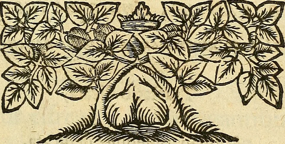 An illustration from Tractatio de mirandis naturae fontibus ex quibus ambrosinum humanae sustentationis nectar hauritur : illorum origine ductibus & reliquis, tam in excessu quam defectu existentibus qualitatibus, 1697, leaf 4